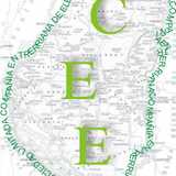 COMPAÑÍA ENTRERRIANA DE ELECTRICIDAD SL logo