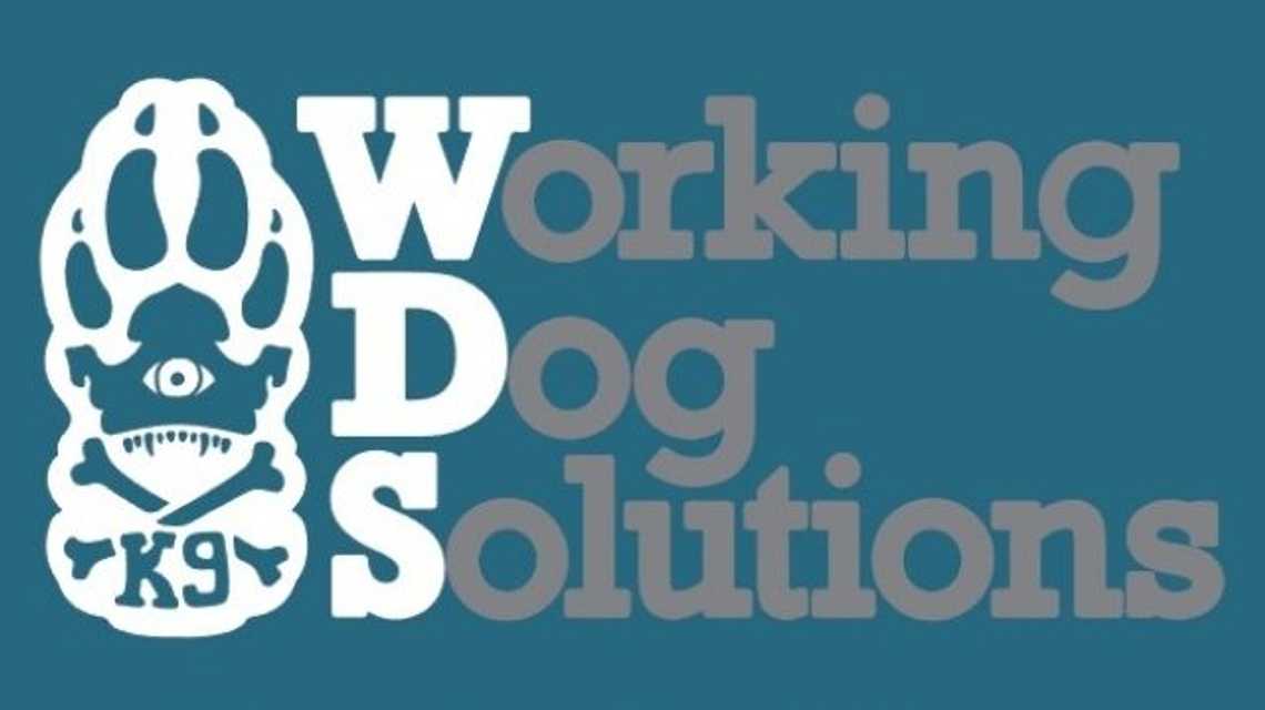 WorkingDog Solutions cover image