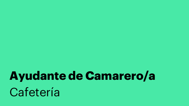 Ayudante de Camarero/a