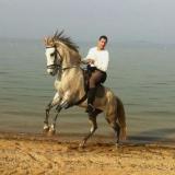 Damian M. avatar icon