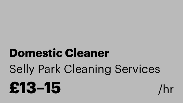 Domestic Cleaner