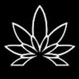 Aren Barcelona Grow avatar icon