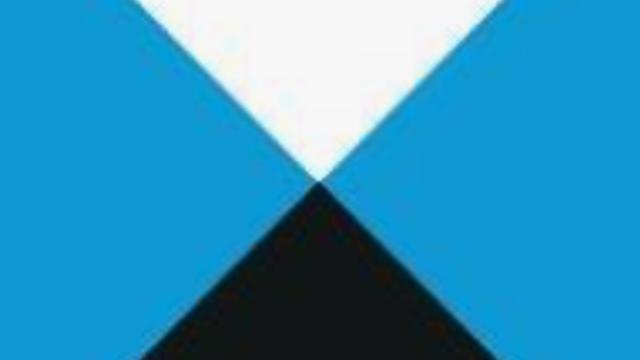 Auditor/a