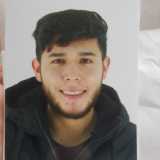 Diego P. avatar icon