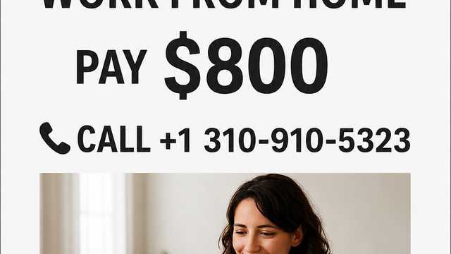 Personal Assistant (PA)