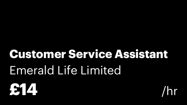 Customer Service Assistant