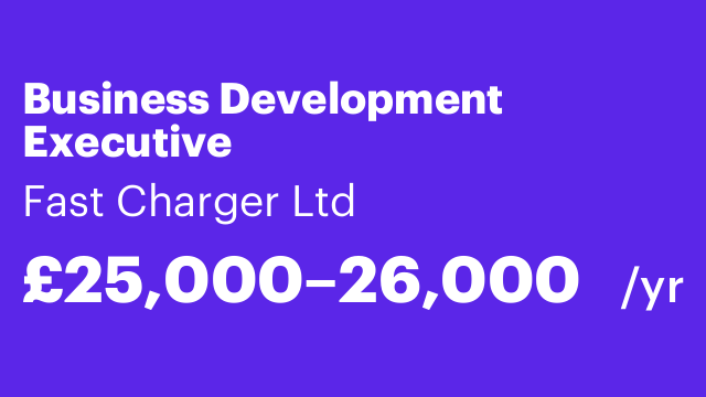 Business Development Executive