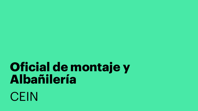 Oficial de montaje y Albañilería
