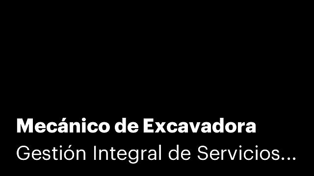 Mecánico de Excavadora