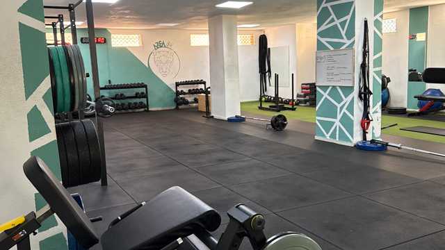 Entrenador/a
