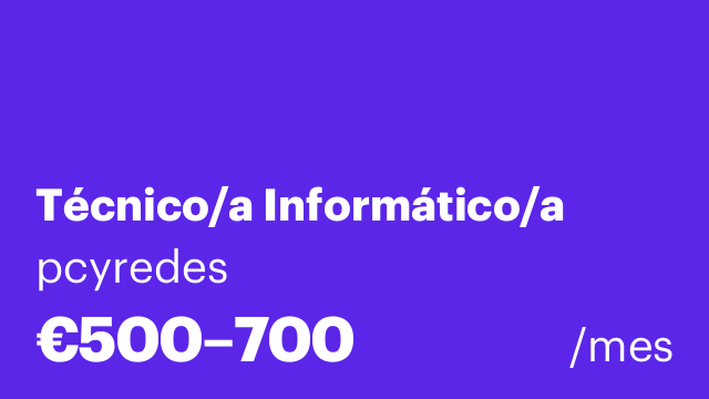 Técnico/a Informático/a