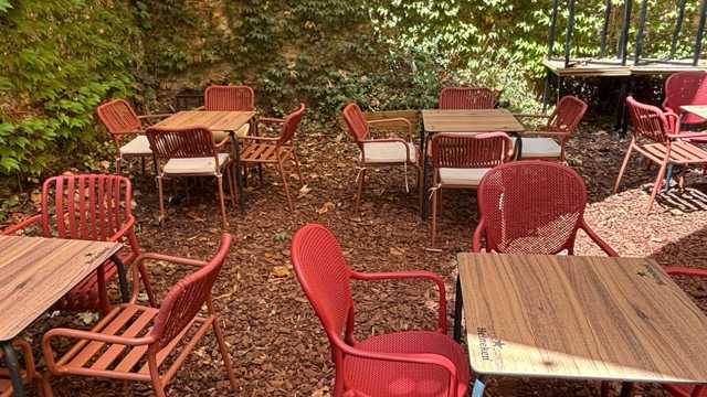 Camarero/a de Sala/Terraza