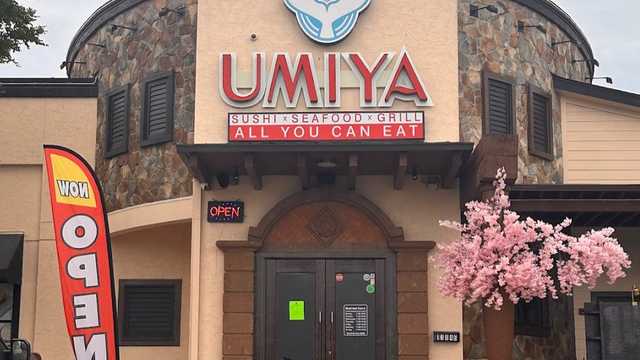 Sushi Chef