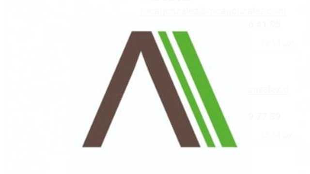 Auxiliar de colectividades
