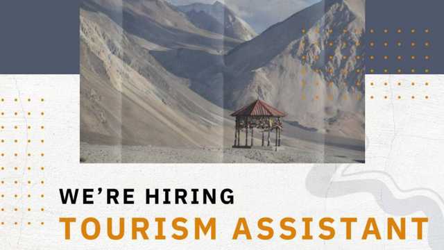 Flexible Project Assistant - Virtual-friendly - $25+/HR