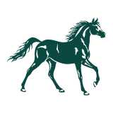Reins Piccadilly LTD logo