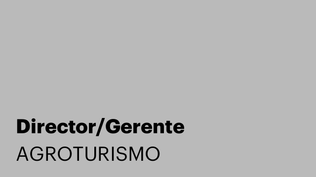 Director/Gerente