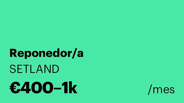 Reponedor/a