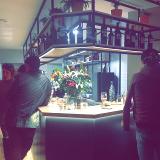 Sonata D. avatar icon