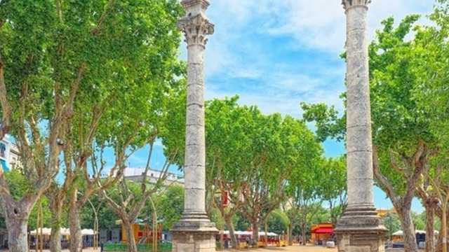 Camarero/a de Extras