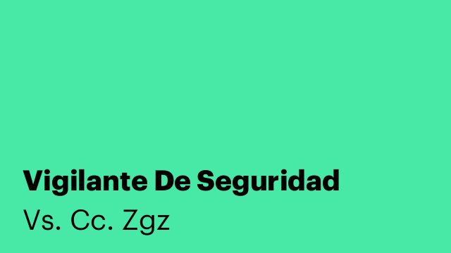 Vigilante De Seguridad