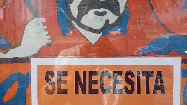 Carpintero/a de Madera