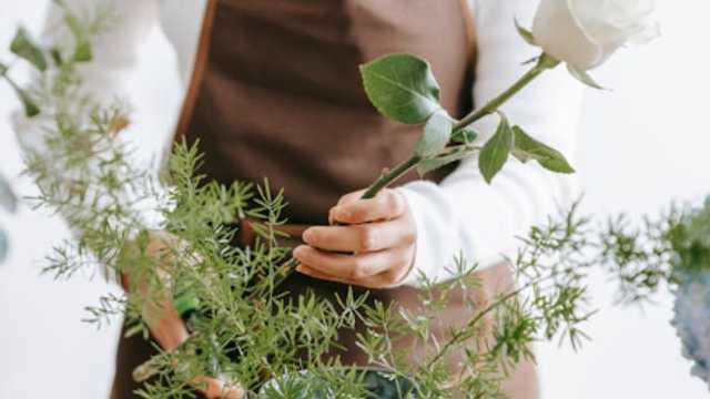 Ayudante/a de Florista