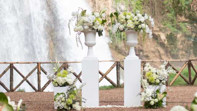 Beca de Diseño Floral