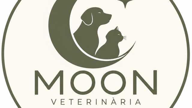 Veterinario/a