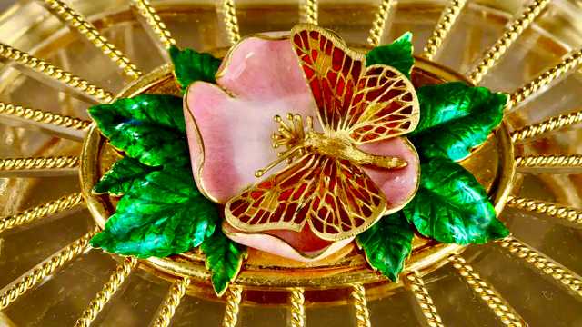 Comercial y Captador/a