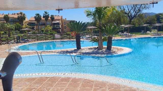 Camarero/a y Barista