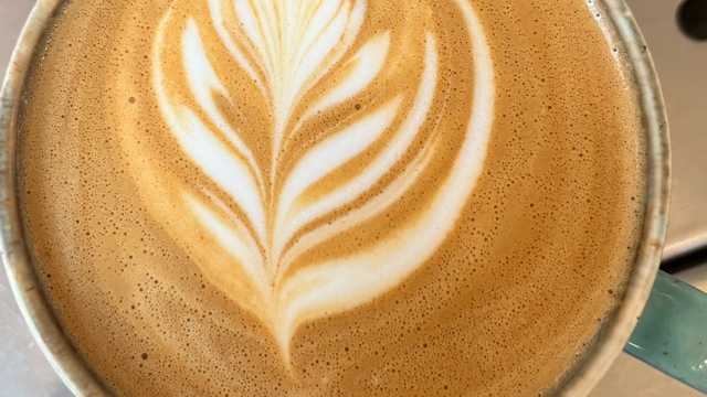 Waiter / Waitress / Barista