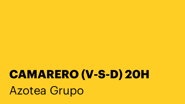 CAMARERO (V-S-D) 20H