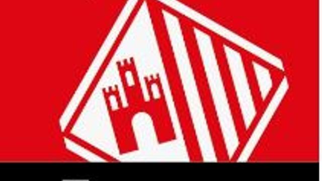 Encuestador/a
