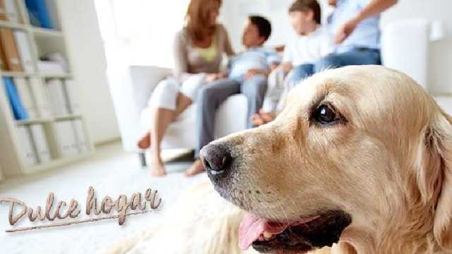 Comercial Inmobiliario