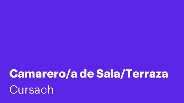 Camarero/a de Sala/Terraza