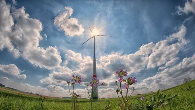 Asesor/a Energético