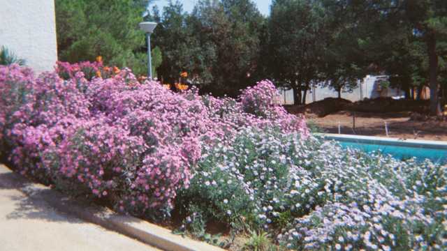 Jardinero/a