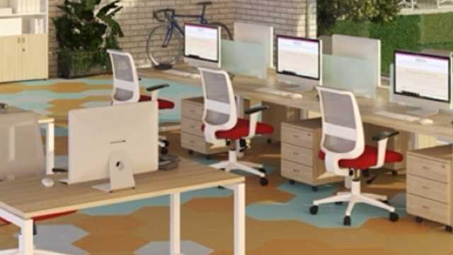 Especialista en soporte técnico