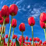 BERTHO C. avatar icon