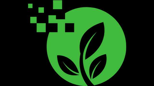 Graphic and Multimedia Designers