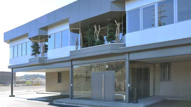 Junior Communication & Social Media Assistant