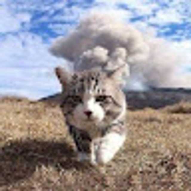 Candidate avatar