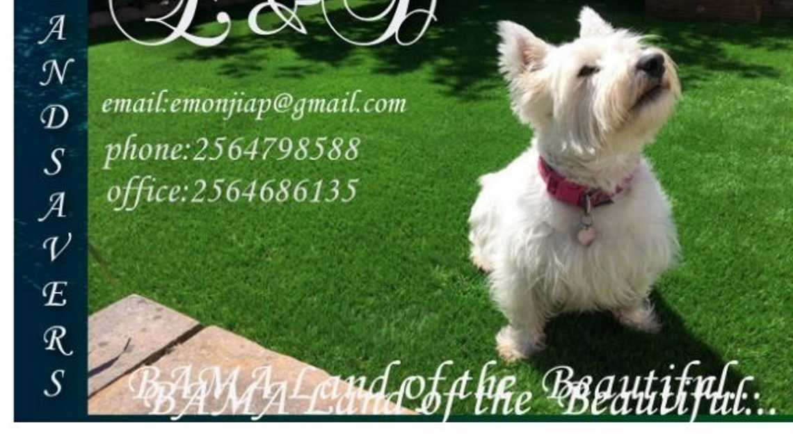 E&D lawnsaver's cover image