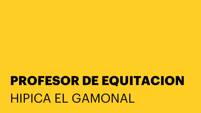 PROFESOR DE EQUITACION