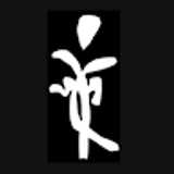 Jara D. avatar icon