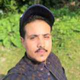 FlyswatterTV avatar icon