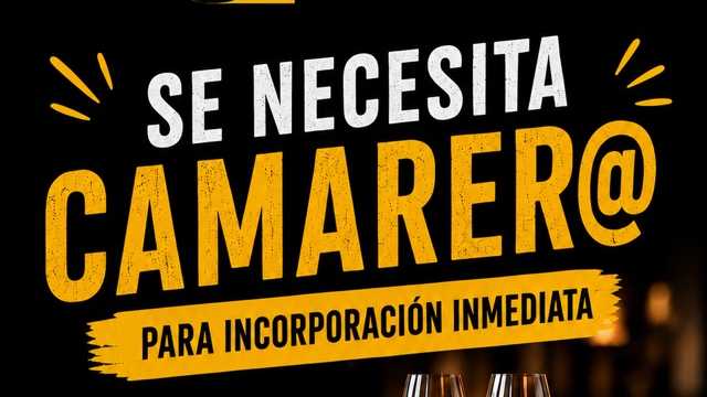 Camarero/a de Barra