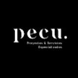 Pecu V. avatar icon