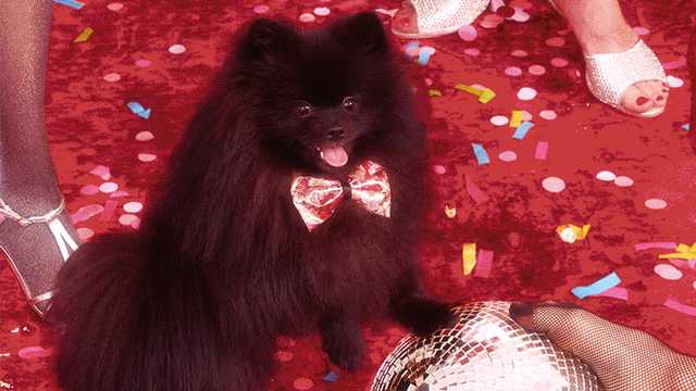 Spüler / Küchenhilfe (m/w/d)